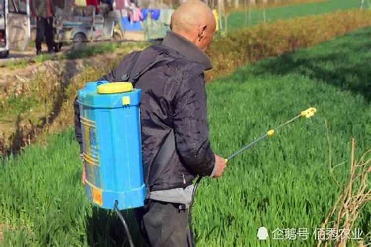 农田惊魂：农药误用后的紧急应对策略
