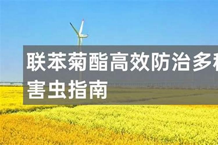 安全高效使用农药联苯菊酯：操作指南与预防措施详解