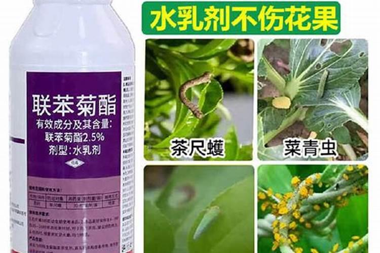 安全高效使用农药联苯菊酯：操作指南与预防措施详解