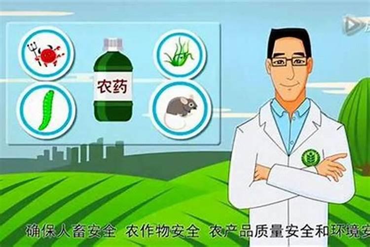 守护绿野：农药安全使用的五个关键维度
