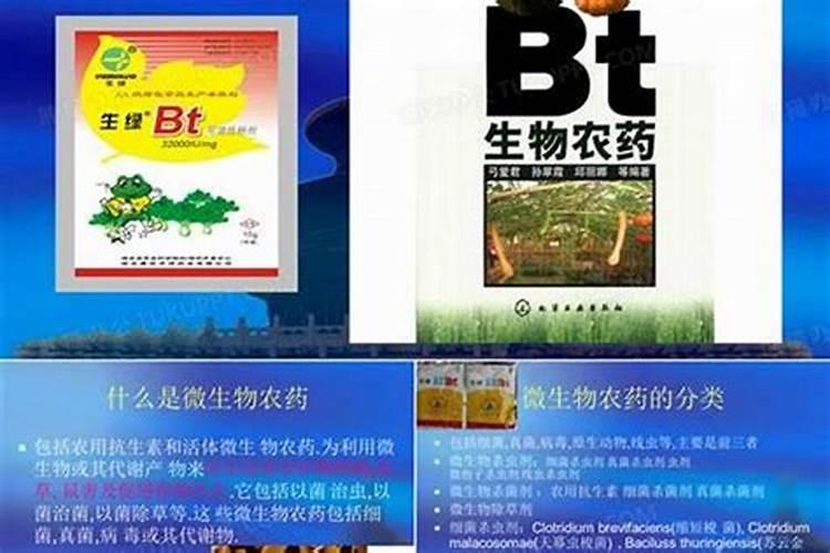 守护绿色田野：揭秘类微生物农药的多样性与应用？