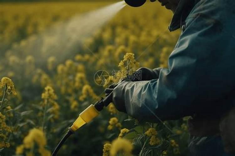 半夏除草剂的正确打开方式：掌握使用要点，轻松解决杂草问题？