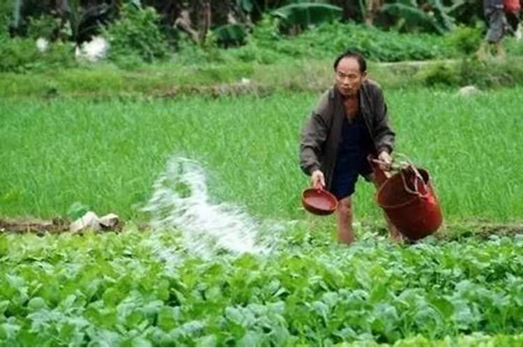 磷肥的污染有哪些种类？