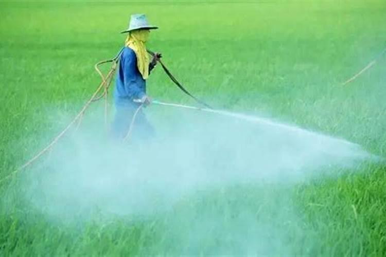 掌握正确施药方法，让农药效果倍增？