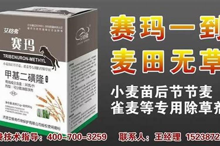 掌握正确施药方法，让农药效果倍增？