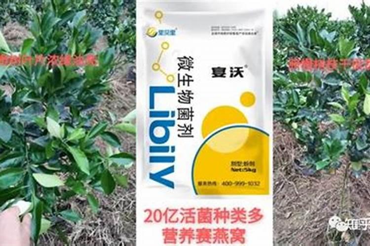大量元素平衡肥什么时候使用最好？