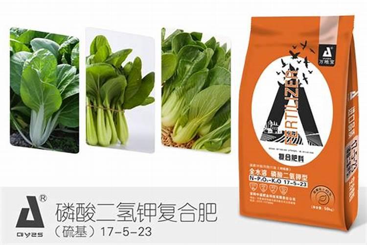 油菜怎样科学的施足苗肥？