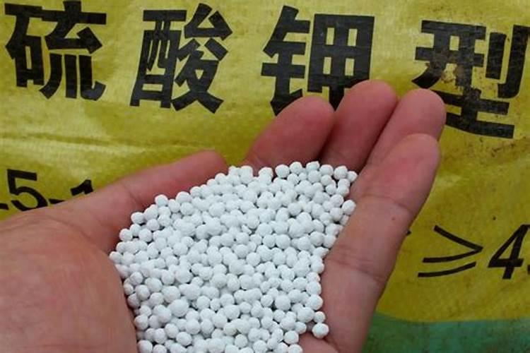 硫酸钾：农业的黄金伙伴