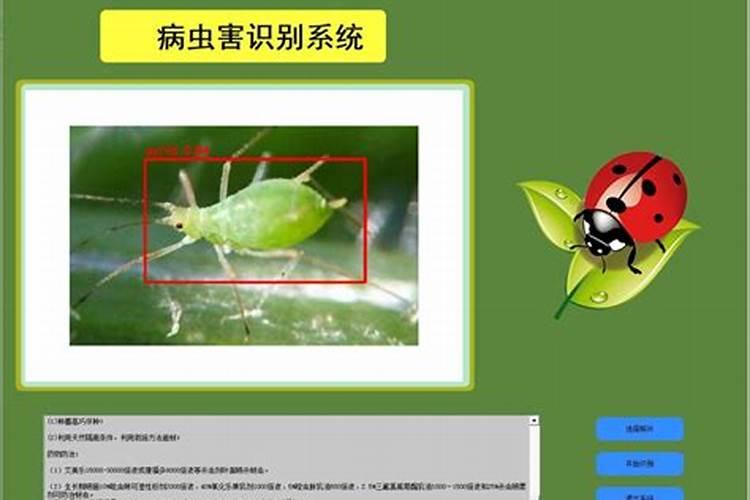 豆瓣绿的守护者：识别与防治病虫害的完全指南