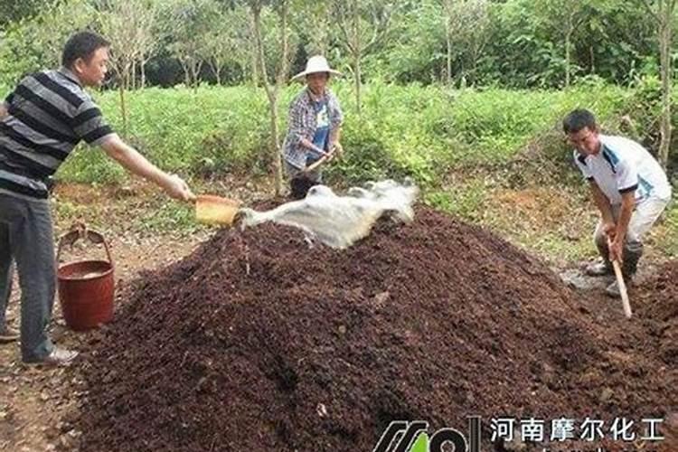 农家肥如何发酵腐熟？