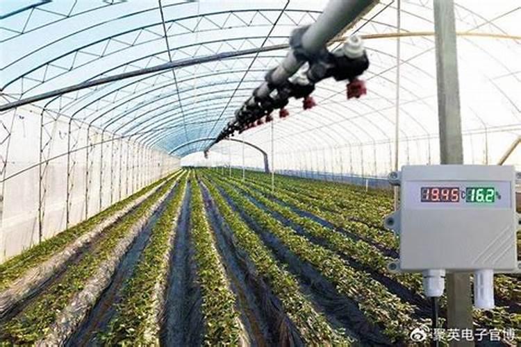 智慧农业：如何间歇地运用农药确保作物安全与生态平衡？