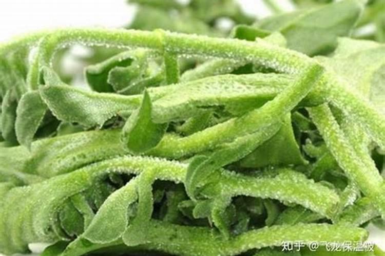 中国冰菜产地在哪里如何栽培能高产