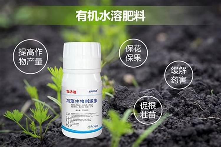 葱喷施叶面肥的好处有哪些呢？