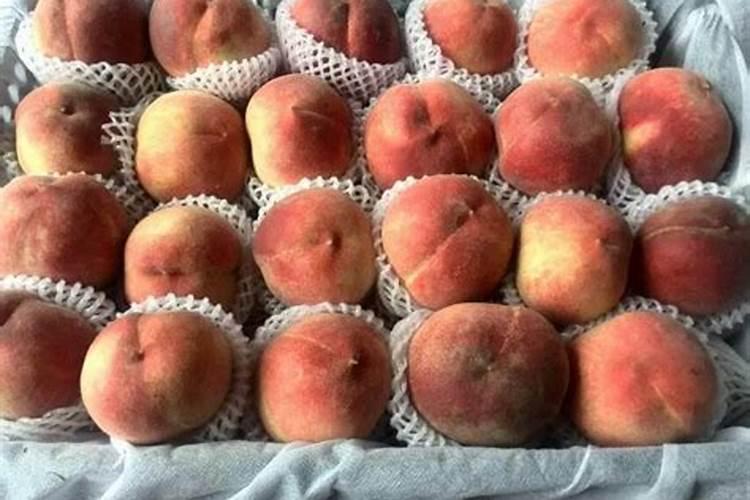 鲜桃贮藏保鲜三种方法？