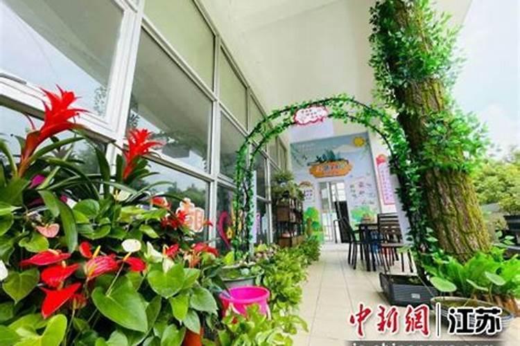 绿意盎然：将闲置阳台打造成草莓乐园