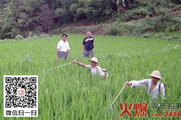 农药药效降低的八大常见原因