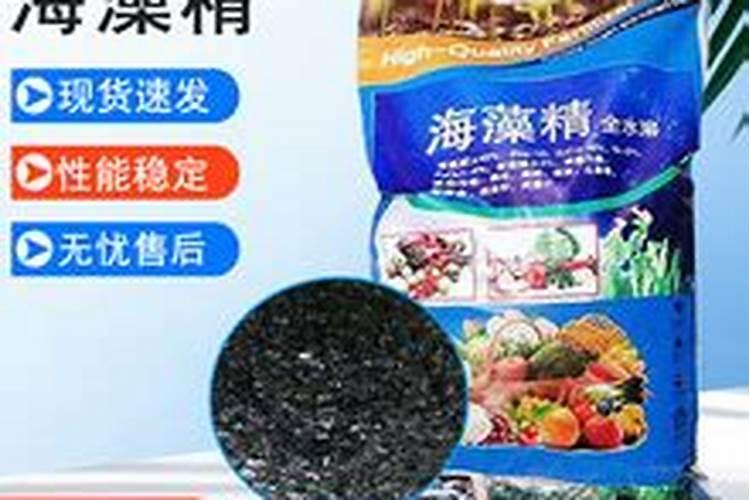 海藻叶面肥什么价格合适用？