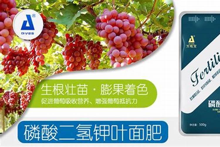 哪家厂家生产的葡萄专用叶面肥效果最好？