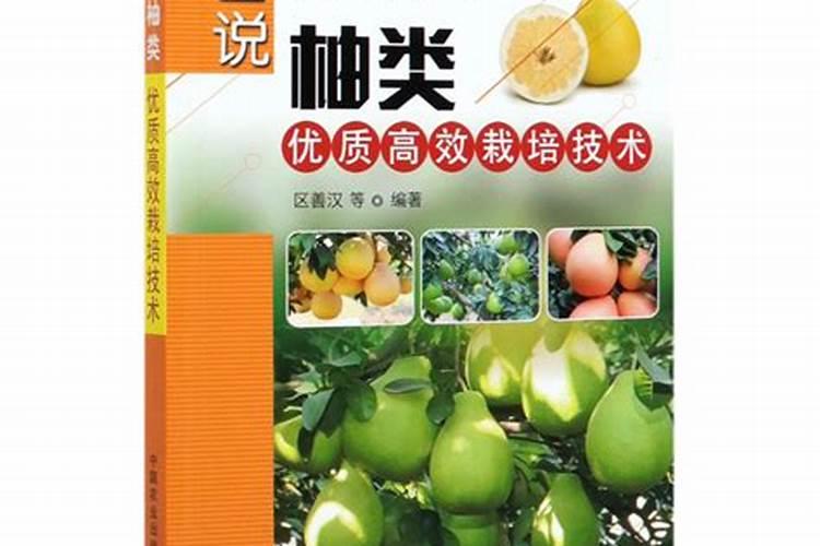 沙田柚高效施肥秘籍：揭秘优质丰产的保障之道