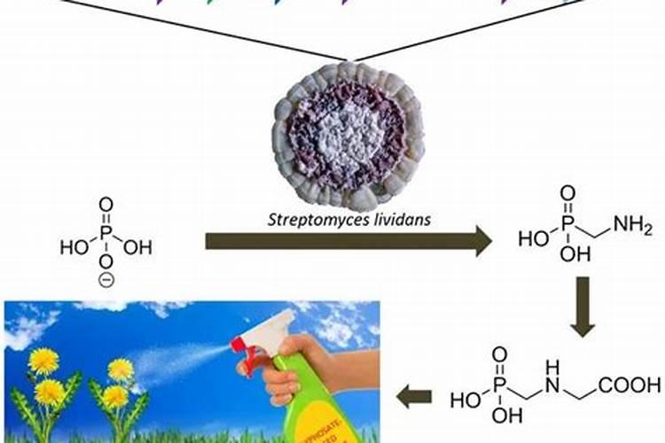 绿色守护：生物农药的实用技术与应用