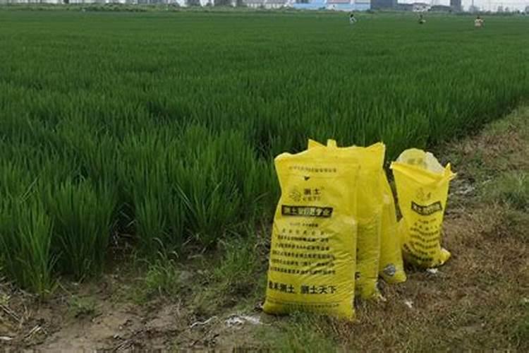 农作物施用锌肥的技术指导