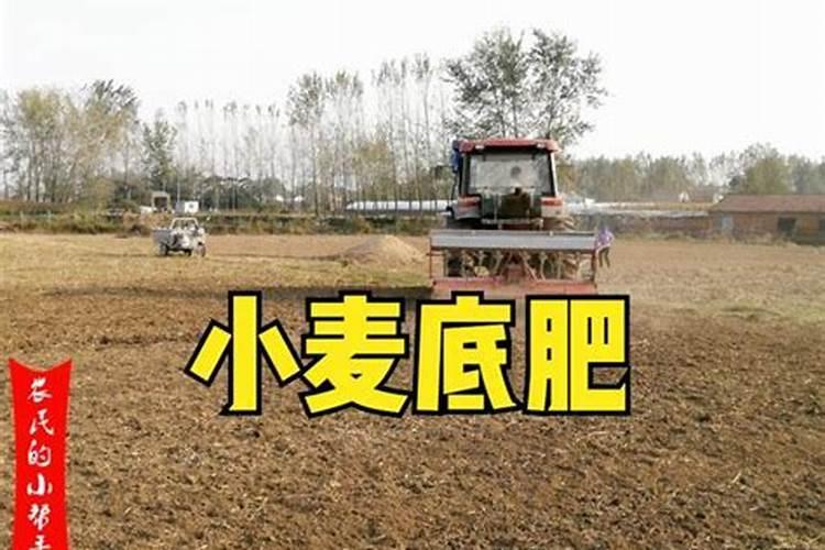 如何选择小麦底肥？每亩用量多少？
