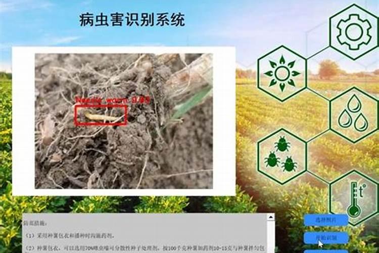 秋冬城郊型农业病虫草害的防治技术