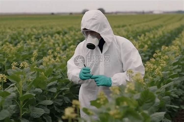 绿色守护者：噻嗪酮农药的科学使用与生态影响