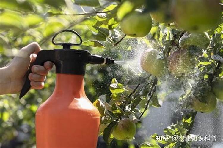 这些农药常识农资人必学的农药知识大汇总