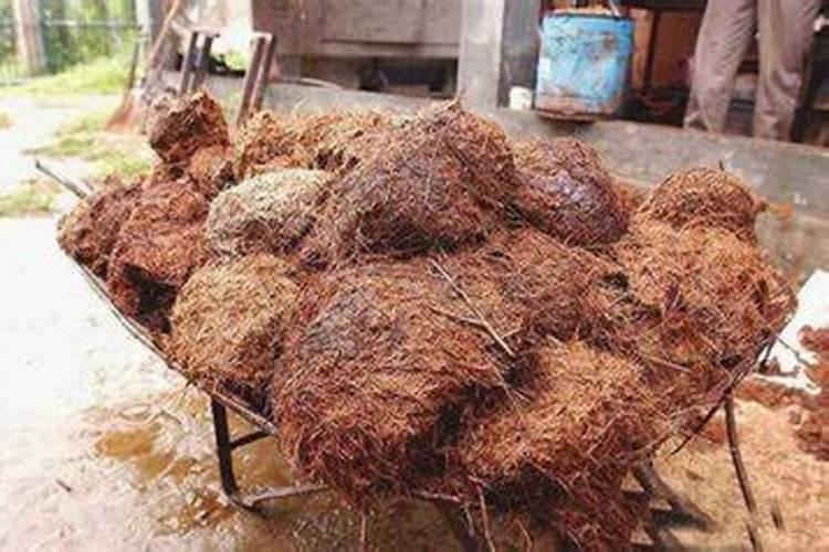 肥料未腐熟会产生有什么害处呢？