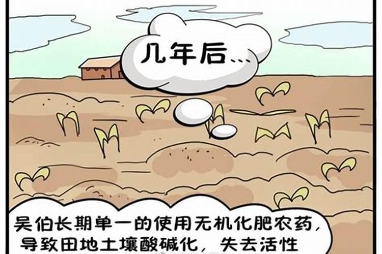 施用化肥过量的危害与防治对策