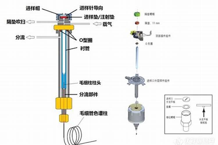 气相色谱中尾吹气,吹扫捕集,隔垫吹扫这些词的意思？
