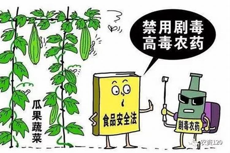 守护绿色防线：杀虫剂轮换用药的智慧策略