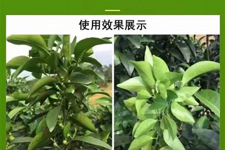 芸苔素解药害的效果？