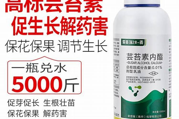 芸苔素能不能解药害有哪些作用