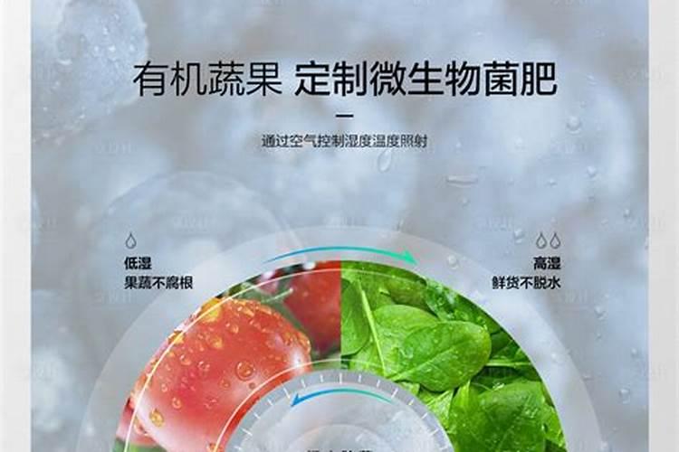 绿色滋养：菜地上的生态肥料选择