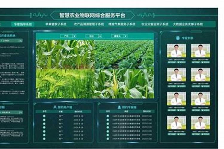 提升磷肥效率：智慧农业的关键策略