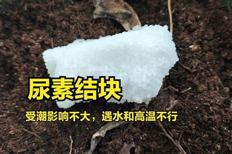 揭秘氮肥的长效秘密：肥效究竟能持续多久？