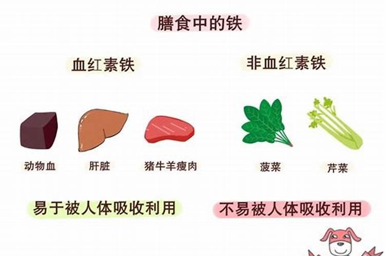 身体缺铁怎么补？