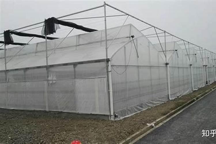 蔬菜大棚阴天怎么保温