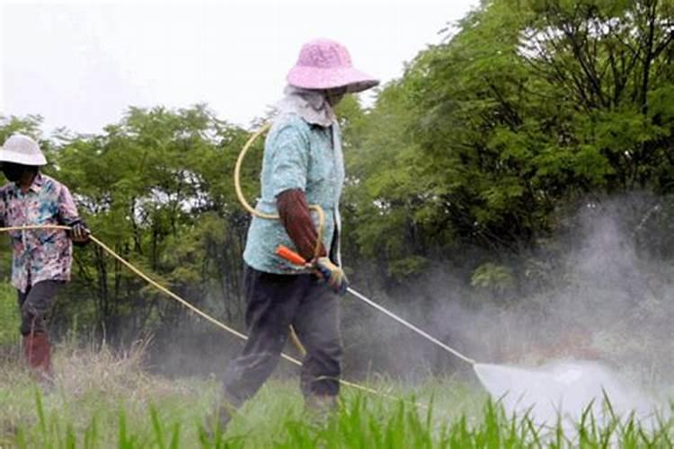 菜田使用除草剂,应注意的问题是什么？