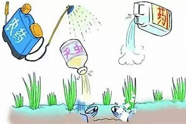 农业守护者的智慧：正确使用农药七注意
