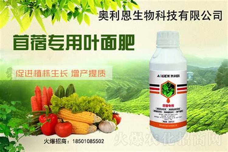 苜蓿用肥方式主要有哪几种？