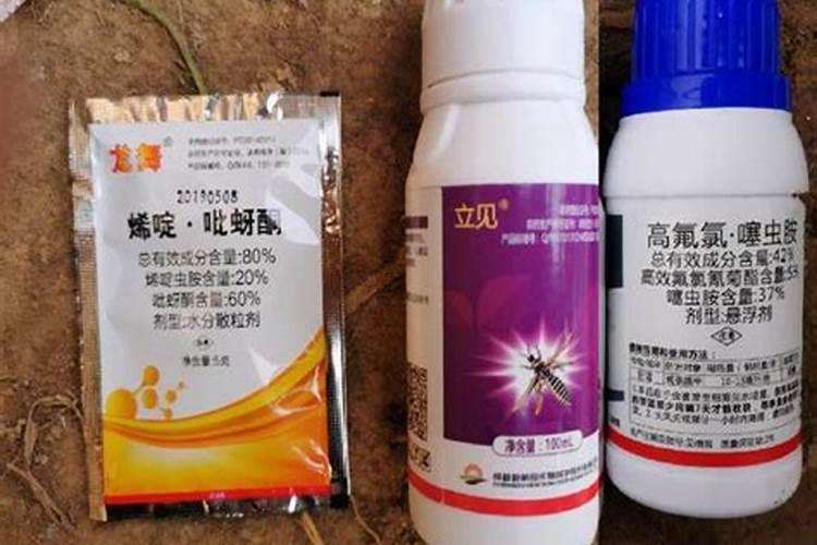 蓟马虫害的防治方法