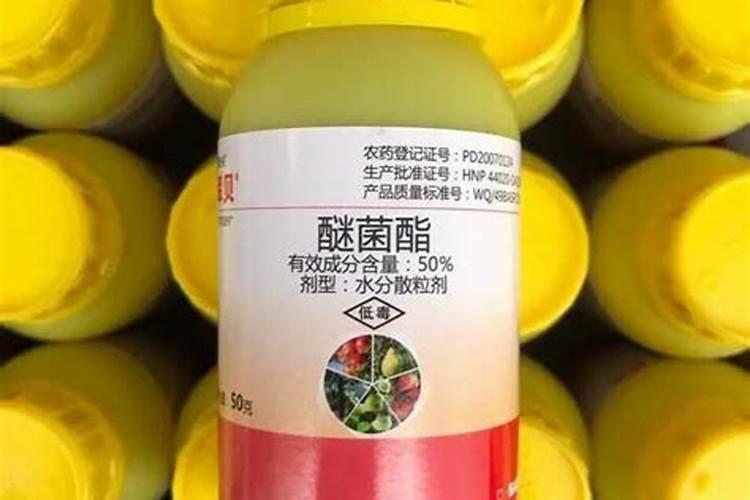 嘧菌酯与醚菌酯,那个效果好,各防那些病害