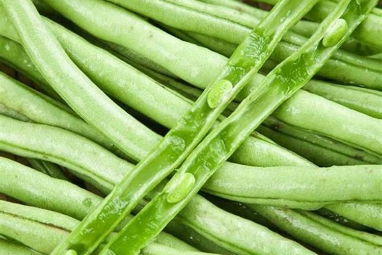 豆角煤霉病防治全攻略：策略与药物选择
