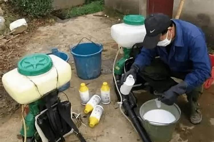 粉剂农药的使用,注意要点是什么？