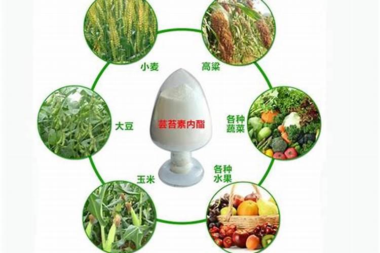 大豆使用芸苔素内酯的用途技术以及注意事项时什么？