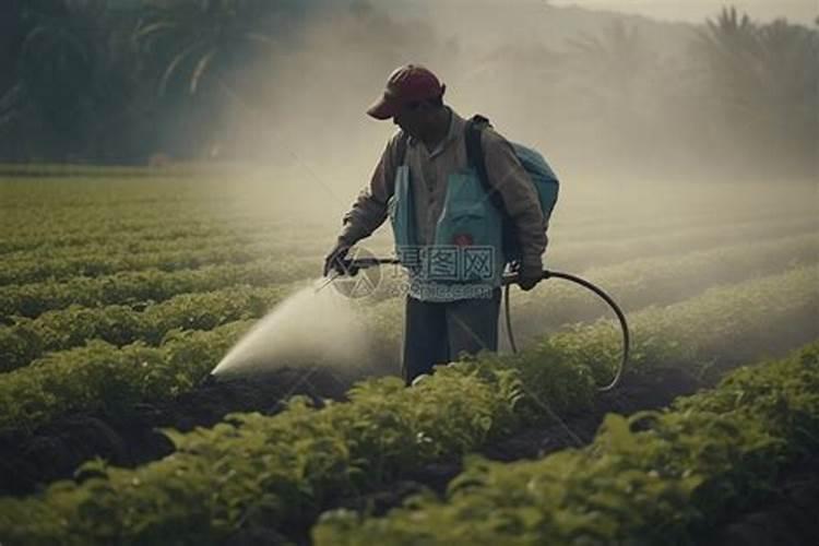 绿色守护：农药使用的挑战与智慧应对