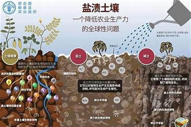 过量施用化肥有什么危害